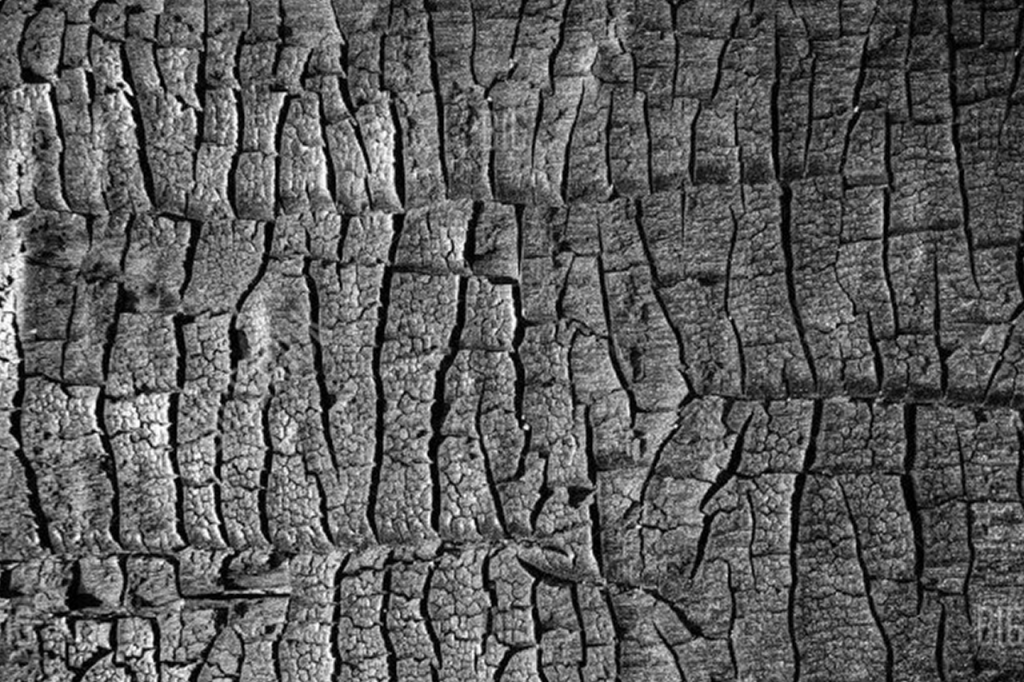 текстура обугленное дерево текстура обугленное дерево